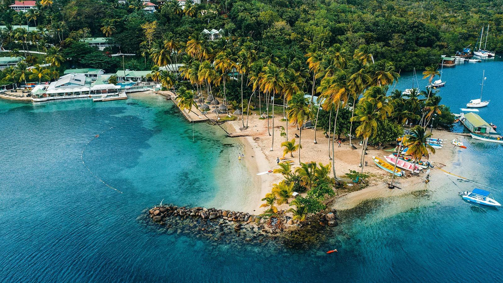 Tropikalna plaża